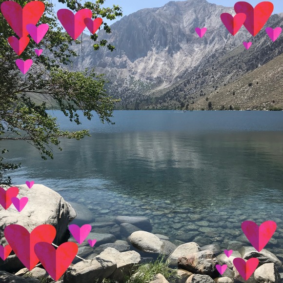 Meet your Posher, Alise - Picture 1 of 1